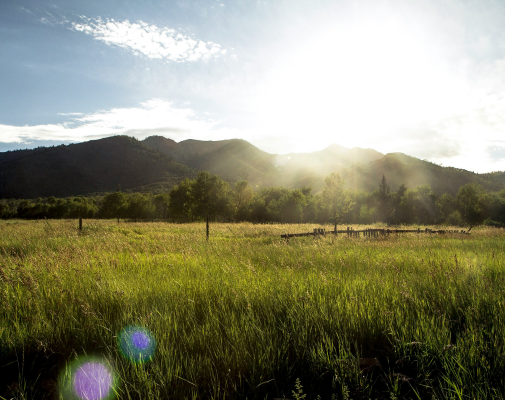 Biogas and Biomethane